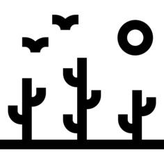 沙漠