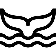 鲸