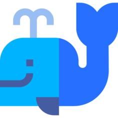 鲸