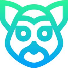 狐猴