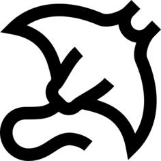 黄貂鱼