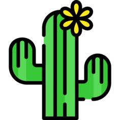 Cactus