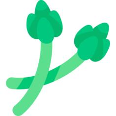 芦笋