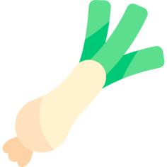 Spring onion