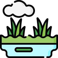 沼泽