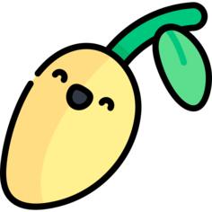 芒果