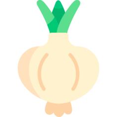 Onion