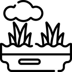 沼泽