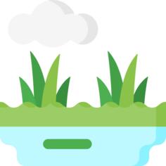 沼泽