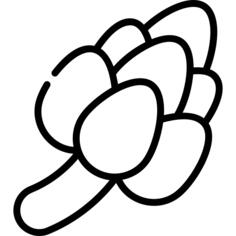 Artichoke