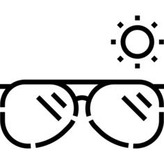 Sunglass