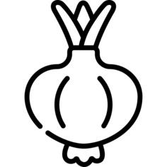 Onion