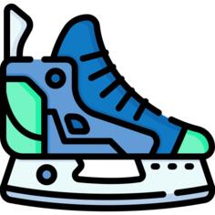 Ice skating shoes