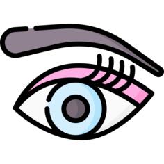 Eyebrow