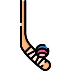 Hockey stick