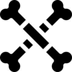 Bones
