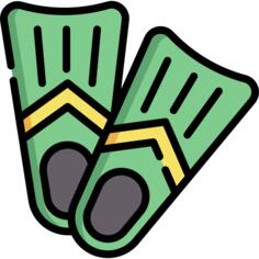 Flippers