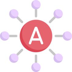 A型血