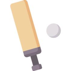 Cricket