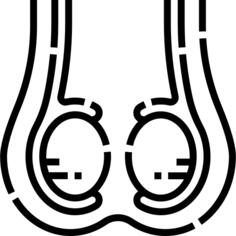 Testicles