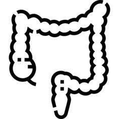 Colon