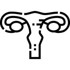 子宫