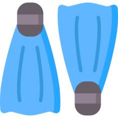 Flippers