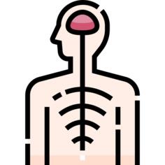 Nervous system
