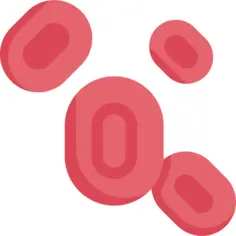 Blood