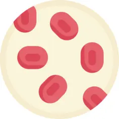 Blood