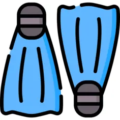 Flippers