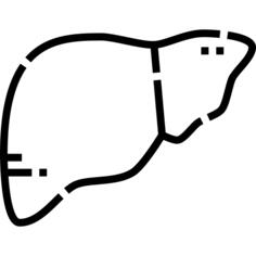肝