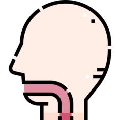 Esophagus