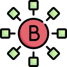 B血型
