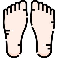 Foot