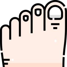Toe