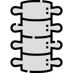 Spine