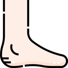 Foot