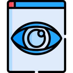 Page views