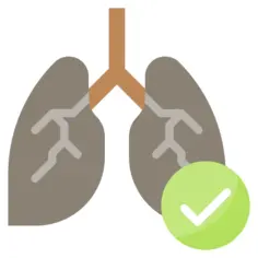 Lungs