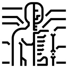 解剖学