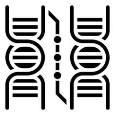 脱氧核糖核酸