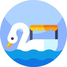 鸭