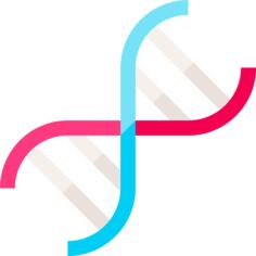 脱氧核糖核酸