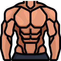 Muscles