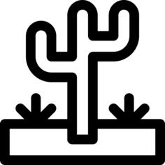 Cactus