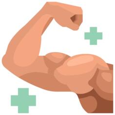 Muscles