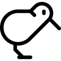 Kiwi
