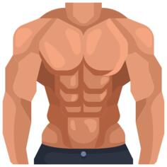 Muscles