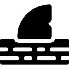 Shark